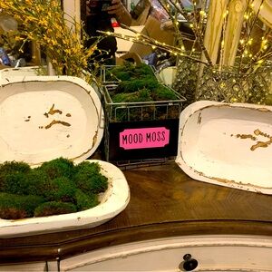 Mood Moss is Here! One of My Faves To Decorate With!